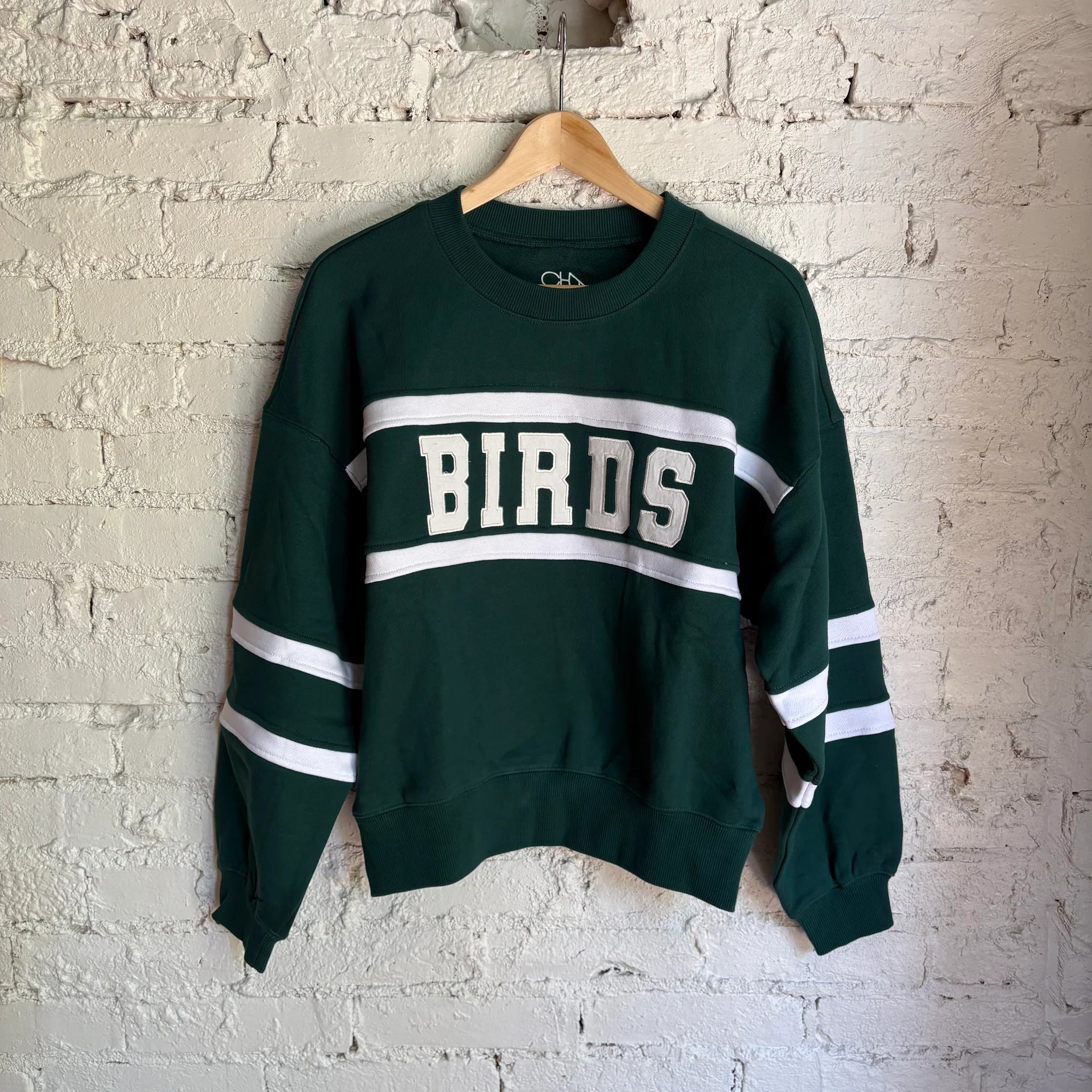 BIRDS Embroidered Stripe Crewneck